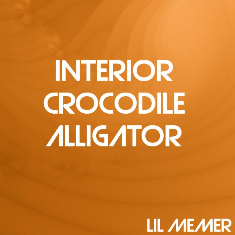 Lil Memer Interior Crocodile Alligator Songtext Musixmatch
