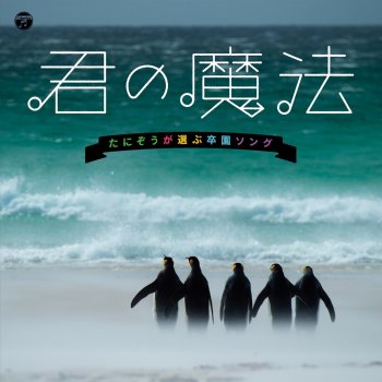 きみだけの Only One Testo たにぞう Mtv Testi E Canzoni