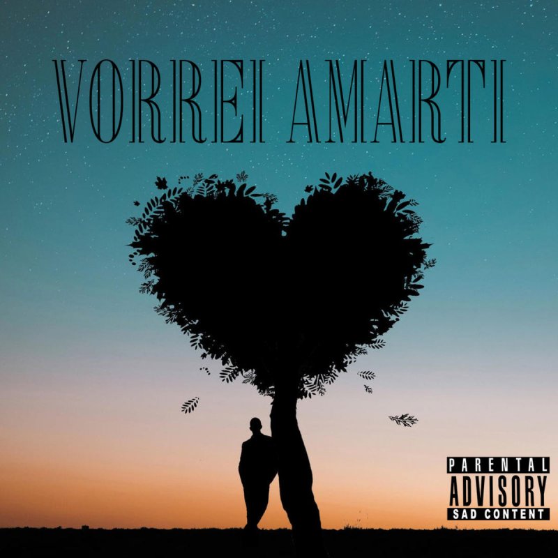 Aiden Vorrei Amarti Lyrics Musixmatch