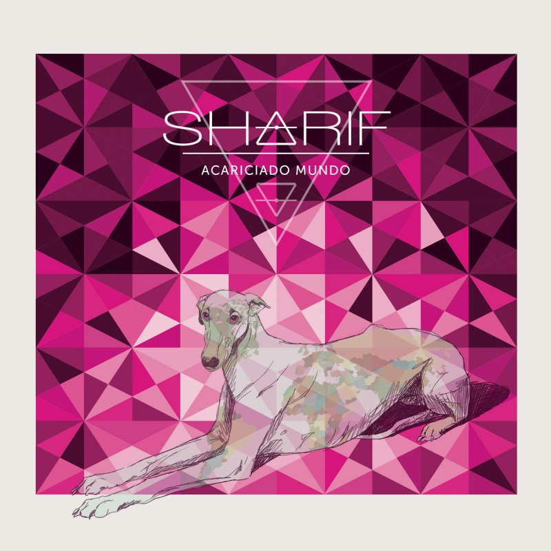 Letra de La Carta de Sharif feat. Al2 El Aldeano  Musixmatch