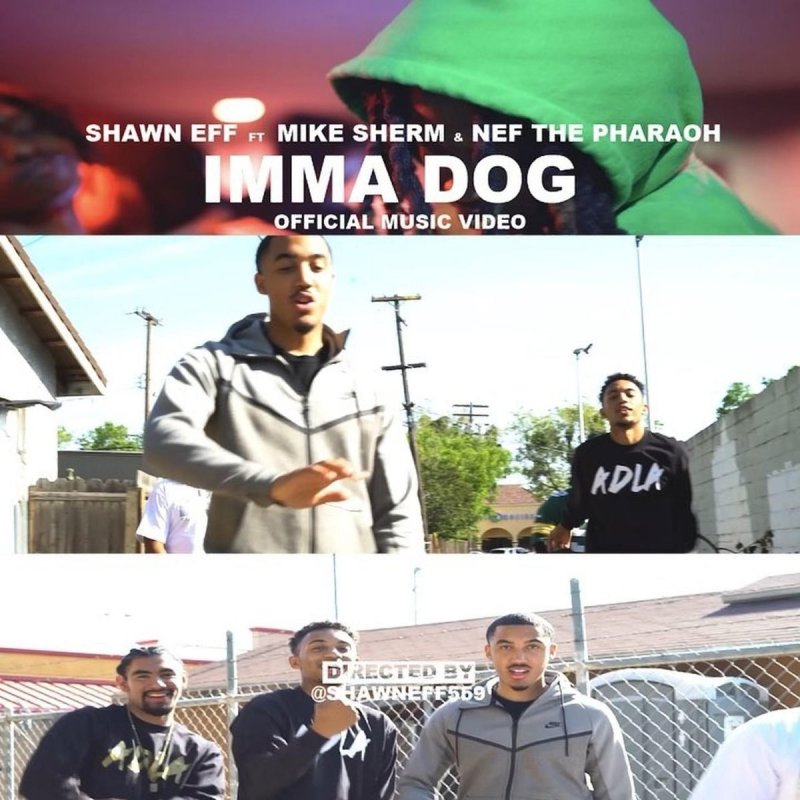 Shawn Eff Feat Mike Sherm Nef The Pharaoh Imma Dog Lyrics Musixmatch nef the pharaoh imma dog lyrics