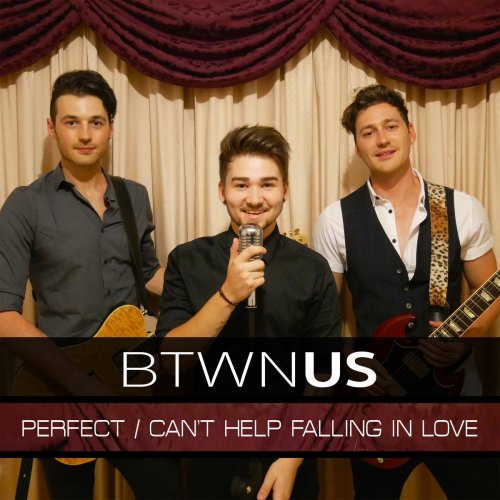 Perfect / Can't Help Falling in Love - Single
