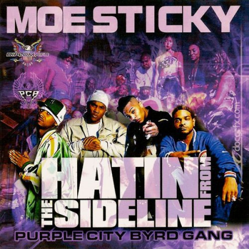 Purple City Byrdgang: Hatin' from the Sideline