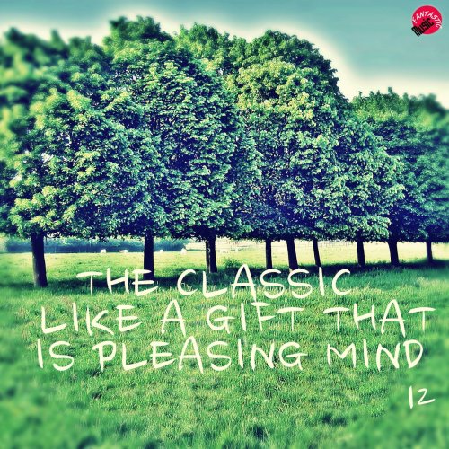 The Classic Like a Gift That is Pleasing Mind 12