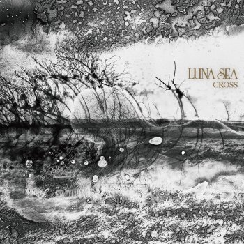 その他 LUNA SEA Luna Sea – Image – 2 x Vinyl (180 Gram, Gatefold, LP, 45 RPM + 2