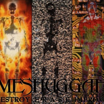 Destroy Erase Improve