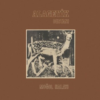 Dort Renk By Mogollar Album Lyrics Musixmatch Song Lyrics And Translations