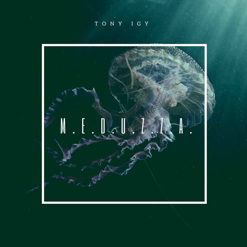 tony igy m e d u z z a