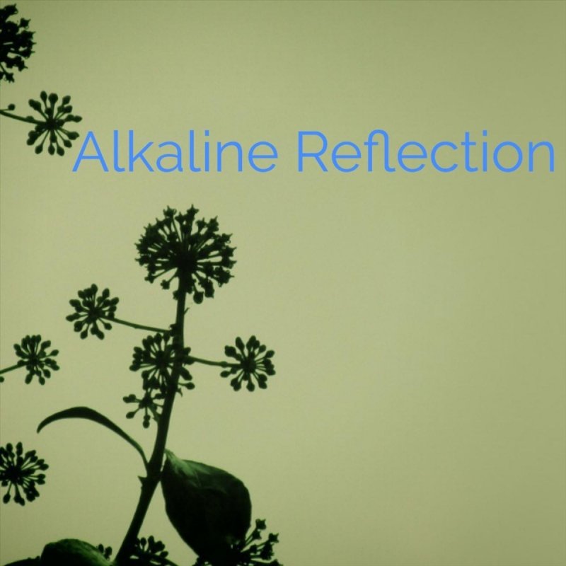 alkaline lonely jamaican lyrics with lyrics alkaline lonely jamaican lyrics with lyrics