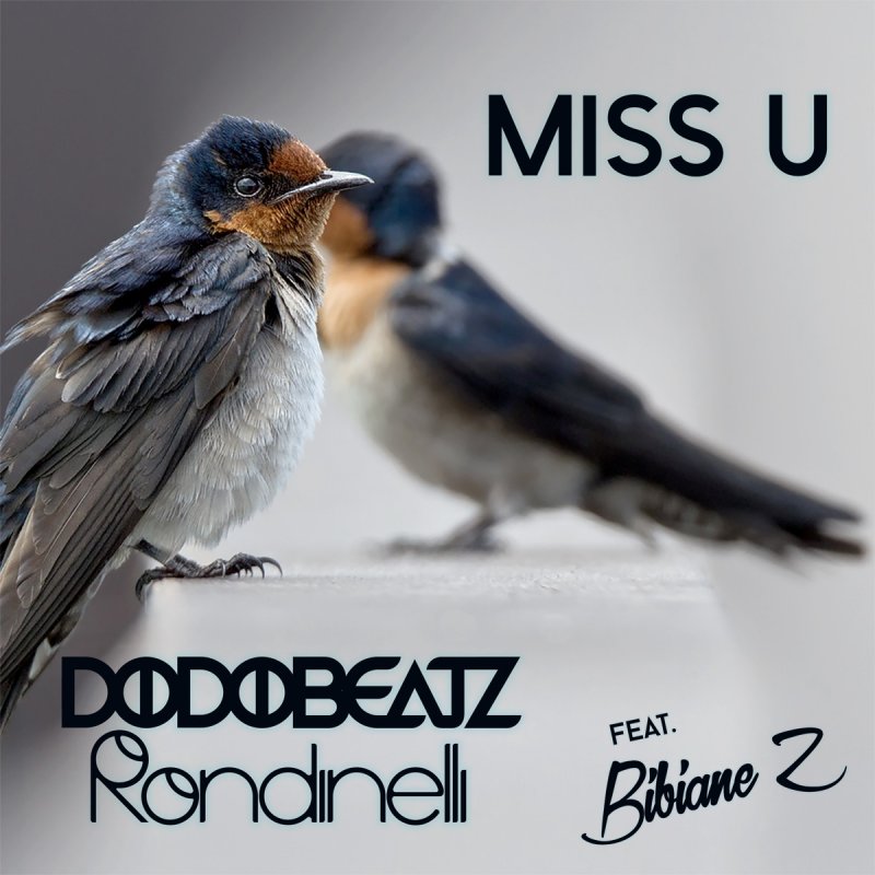 Dodobeatz Feat Rondinelli Bibiane Z Miss U Songtext Musixmatch