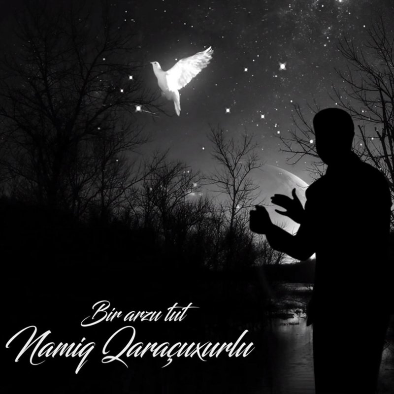 Namiq Qaracuxurlu Bir Arzu Tut Lyrics Musixmatch