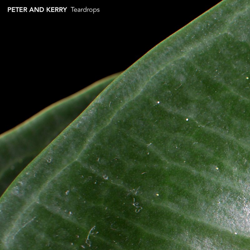 Peter And Kerry Teardrops Songtext Musixmatch Peter and kerry tabs, chords, guitar, bass, ukulele chords, power tabs and guitar pro tabs including one thing, the shadows, knees, summer house song, cirque. peter and kerry teardrops songtext