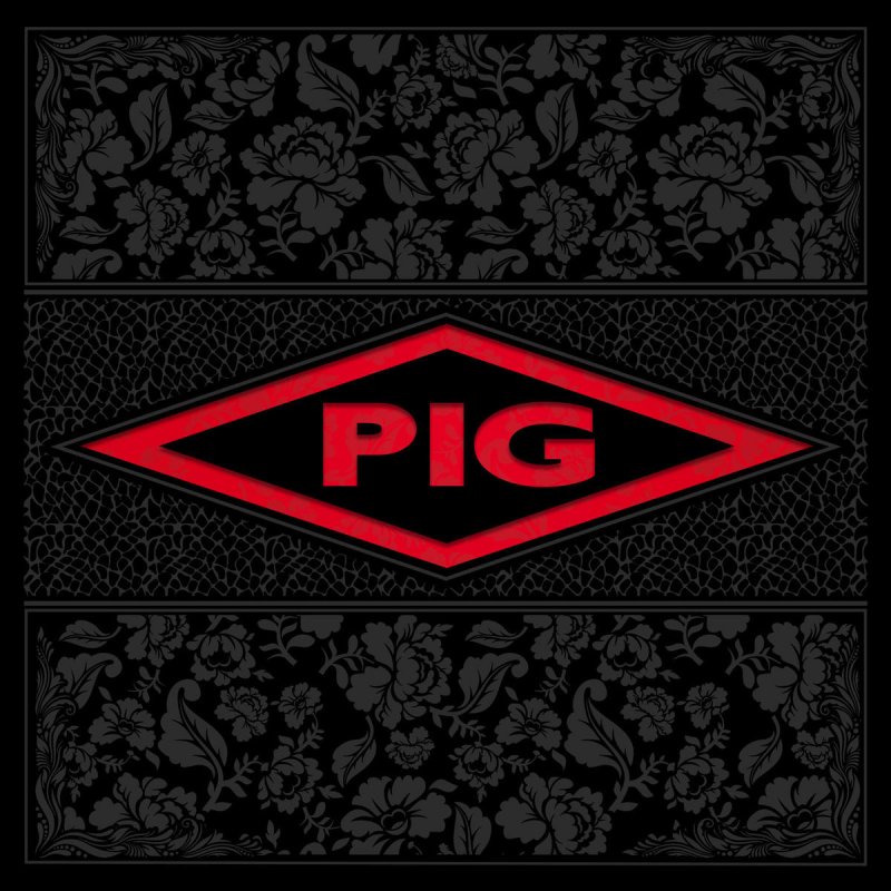 pig - The Power of Love testo | Musixmatch
