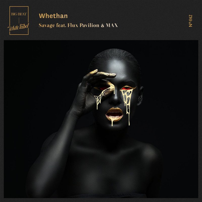 Download Whethan Max Flux Pavillion Savage Feat Flux Pavillion Max Lyrics Musixmatch