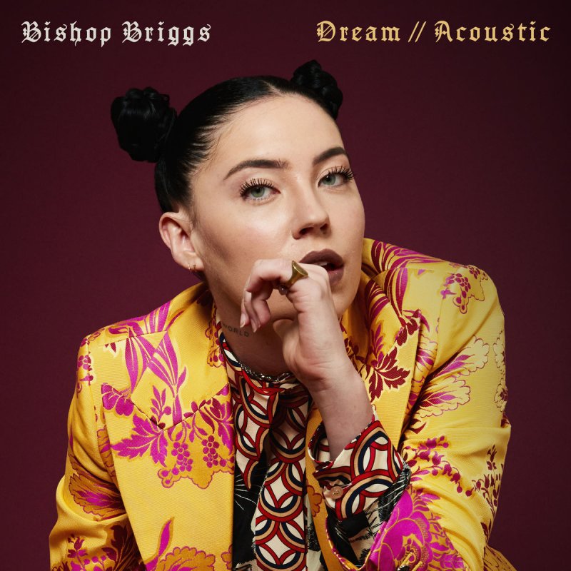 Bishop Briggs Dream Acoustic Lyrics Musixmatch Social media follow me on instagram: bishop briggs dream acoustic lyrics