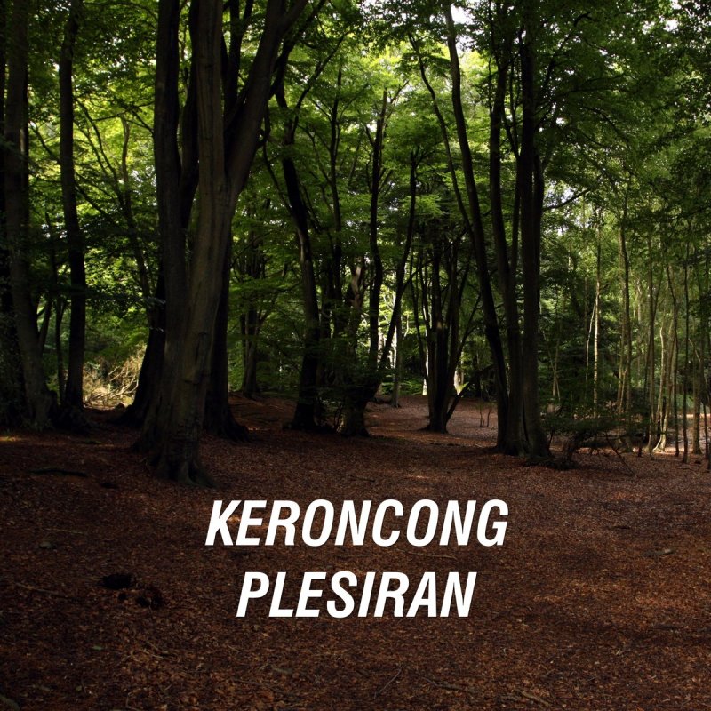 Keroncong Plesiran Kasmaran Lyrics Musixmatch