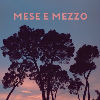 Mese e mezzo (Testo) - The Shalalalas - MTV Testi e canzoni