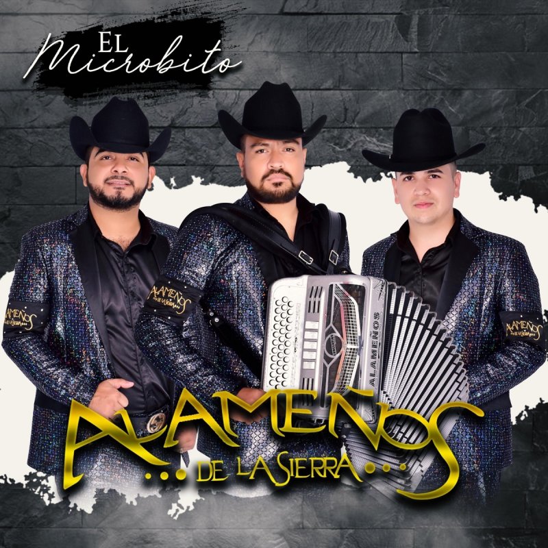 Letra de No Te Apartes de Mi de Alameños de la Sierra Musixmatch