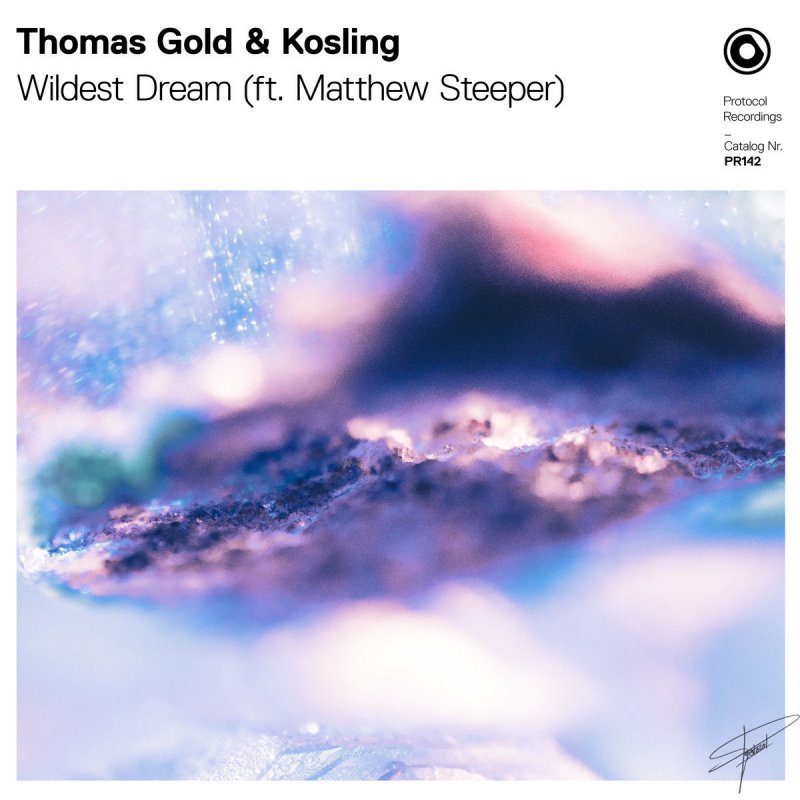 Thomas Gold Kosling Feat Matthew Steeper Wildest Dream の歌詞 Musixmatch