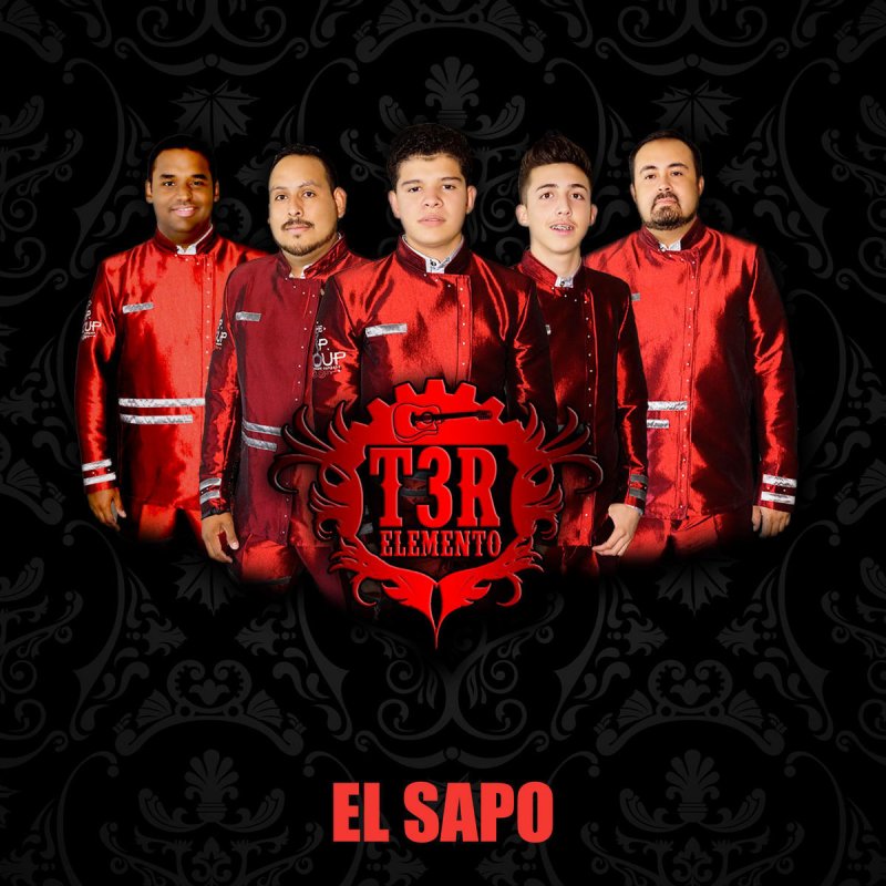 t3r-elemento-el-sapo-lyrics-musixmatch