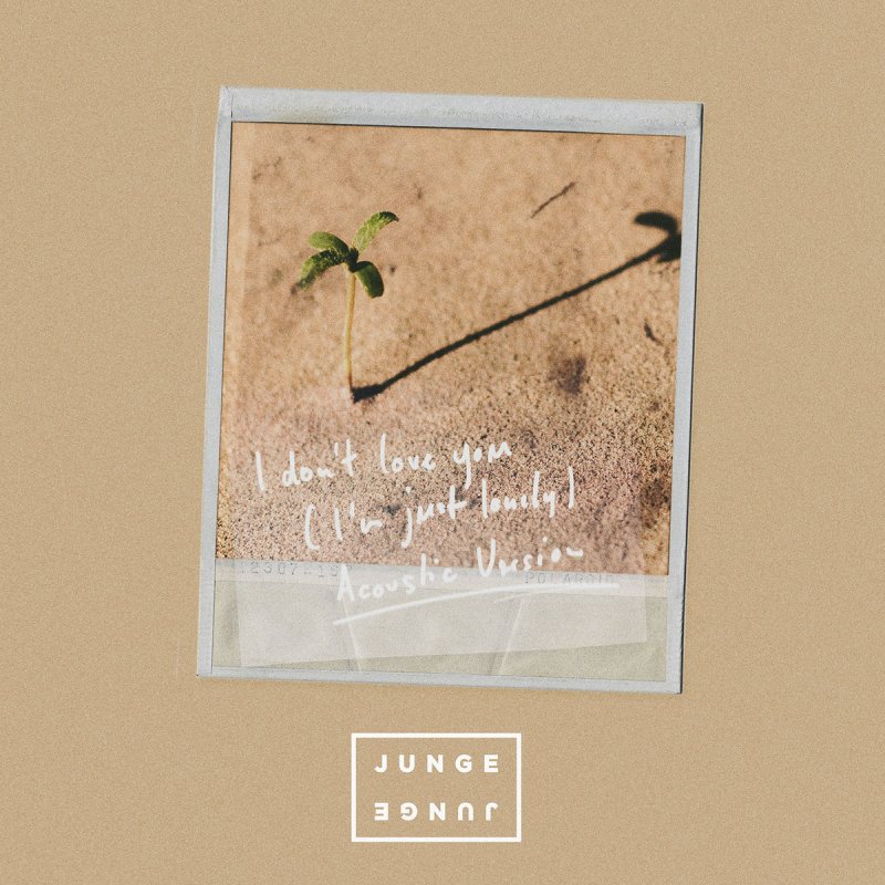 Junge Junge I Don T Love You I M Just Lonely Acoustic Lyrics Musixmatch