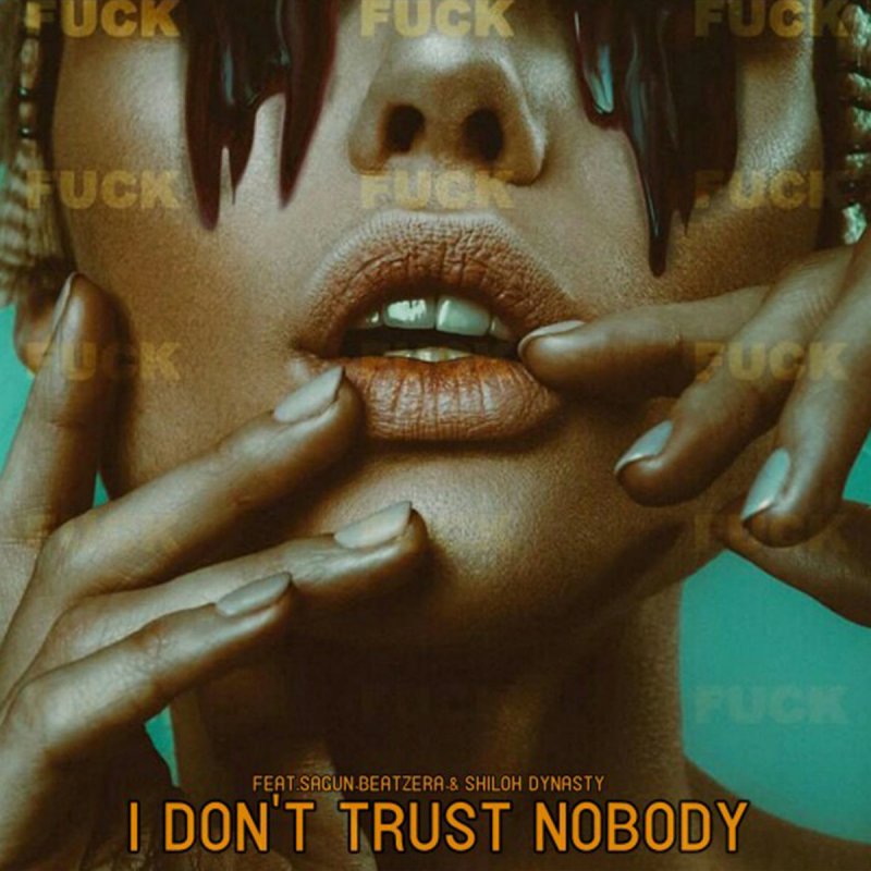 Tayler Prouse Feat Sagun Beatz Era Shiloh Dynasty I Don T Trust Nobody Lyrics Musixmatch I don't trust nobody (feat. i don t trust nobody lyrics