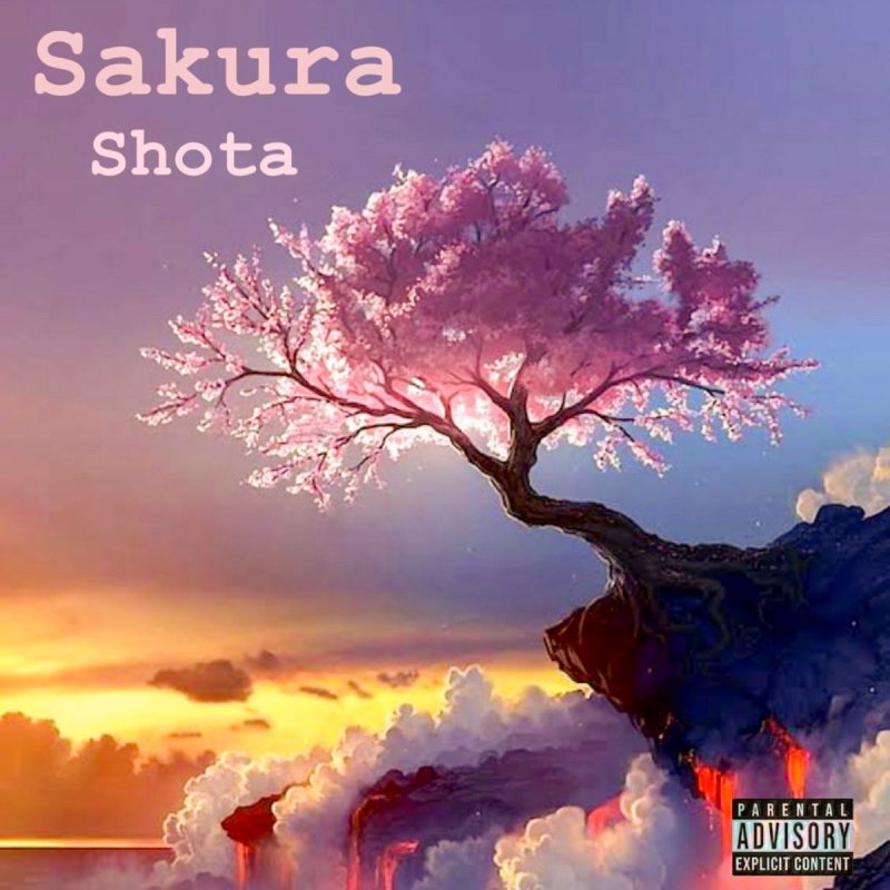 Shota Shooting Blanks Lyrics Musixmatch