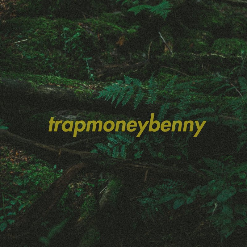 Trapmoneybenny Feat Yung Gleesh Trappin Benny Lyrics Musixmatch Someone who is always on the trap gettin bread for drugs. musixmatch
