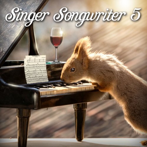 Singer Songwriter 5