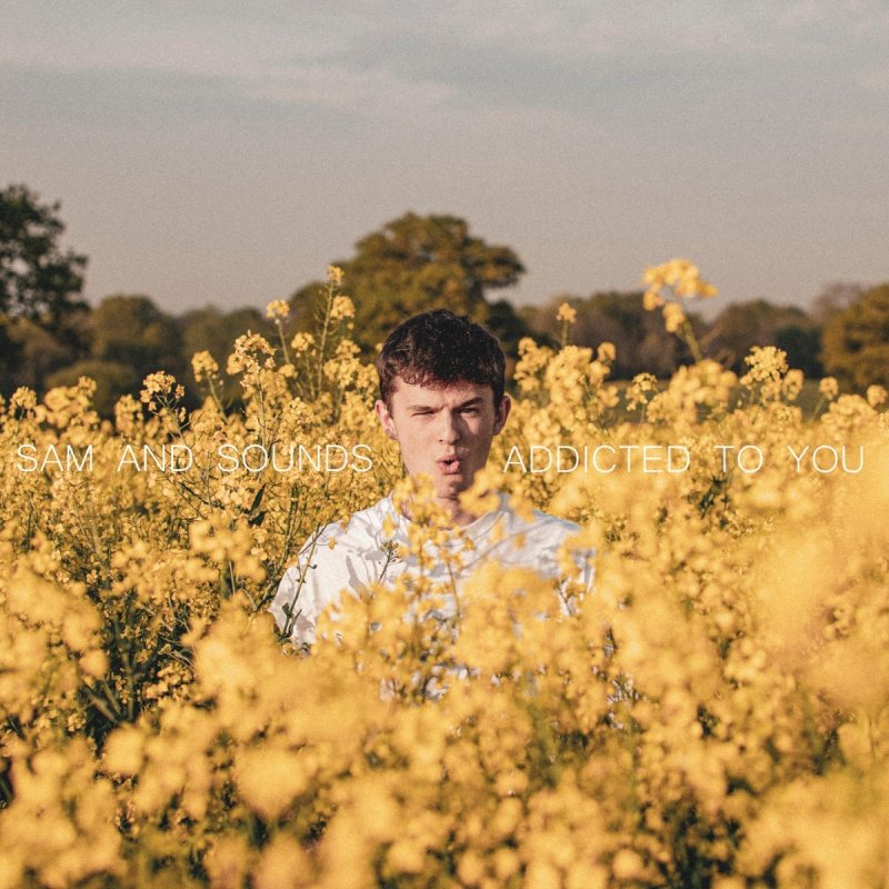 Sam And Sounds Addicted To You Lyrics Musixmatch Sam And Sounds Addicted To You Lyrics Musixmatch