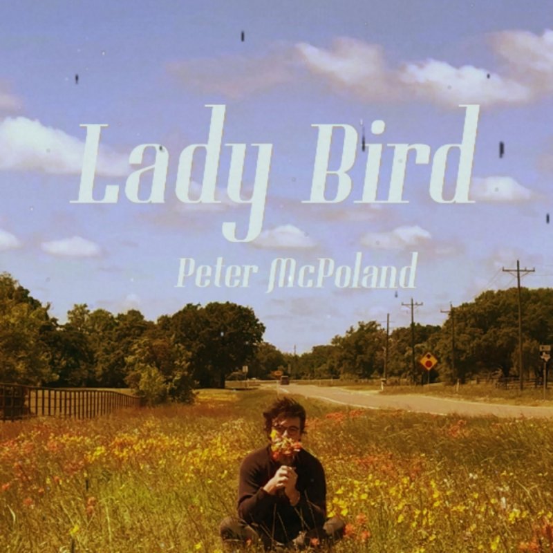 Peter Mcpoland Lady Bird Songtext Musixmatch
