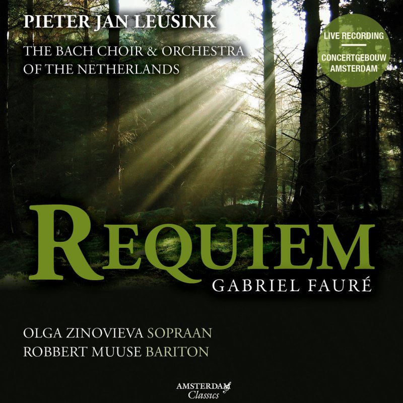 Letra de Requiem IV. Pie Jesu de Pieter Jan Leusink feat. Gabriel