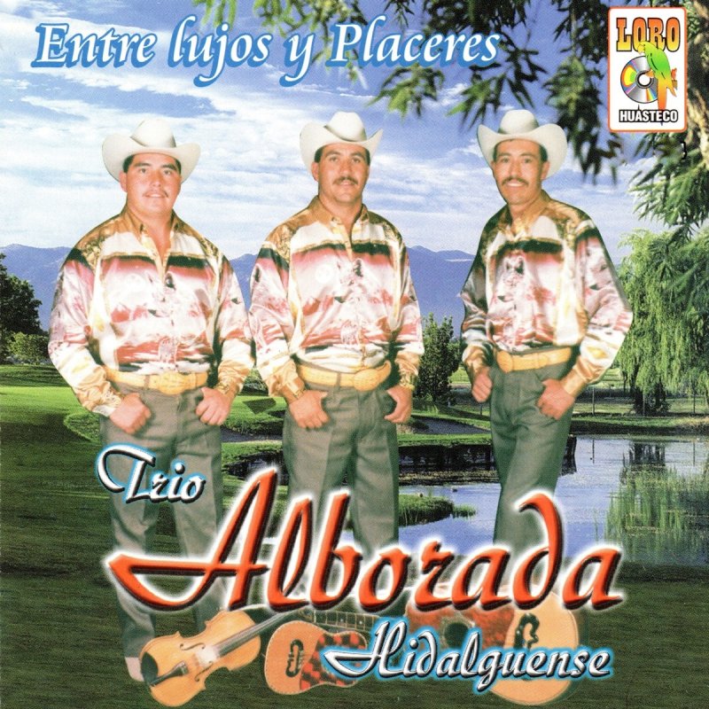 Letra de Papá de Trio Alborada Hidalguense Musixmatch