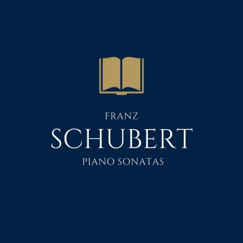 Testi Schubert: The Piano Sonatas