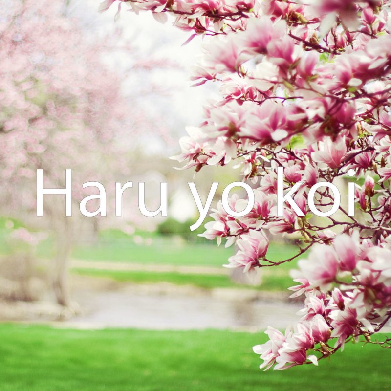 Nelix Haru Yo Koi Songtext Musixmatch Kimi ni azukeshi waga kokoro wa ima demo hen'ji wo matte imasu dore hodo tsukihi ga nagarete mo zutto zutto matte imasu. musixmatch