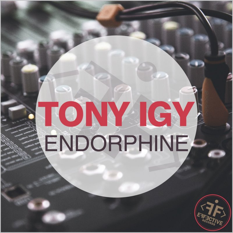 Hot tony igy. Тони иги. Tony igy - Endorphine. Тони иги слушать. DJ Tony igy.