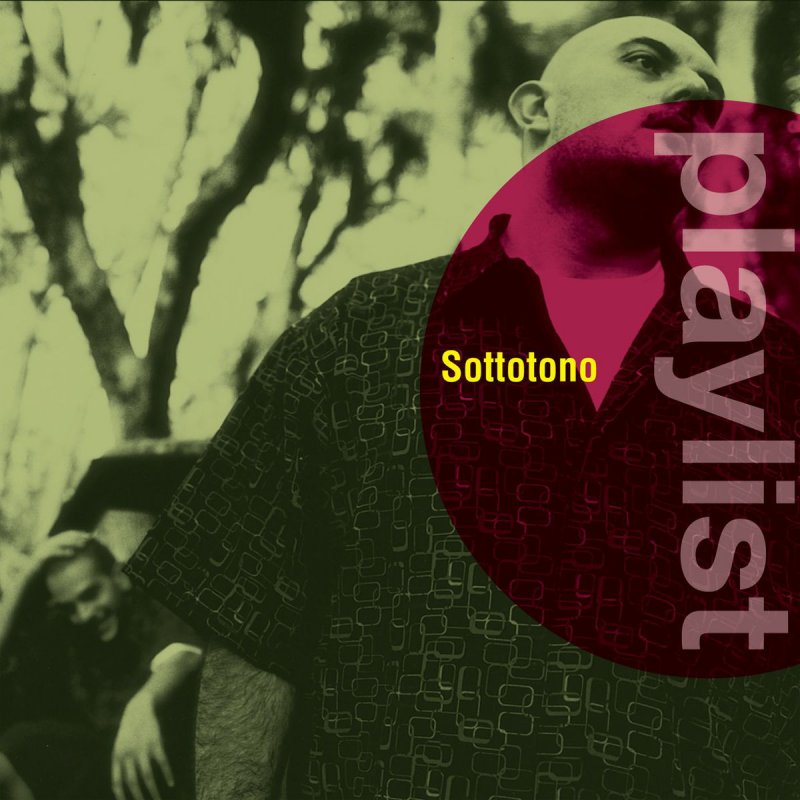 pix Sottotono Solo Lei Ha Quel Che Voglio Lyrics sottotono feat danny losito solo lei