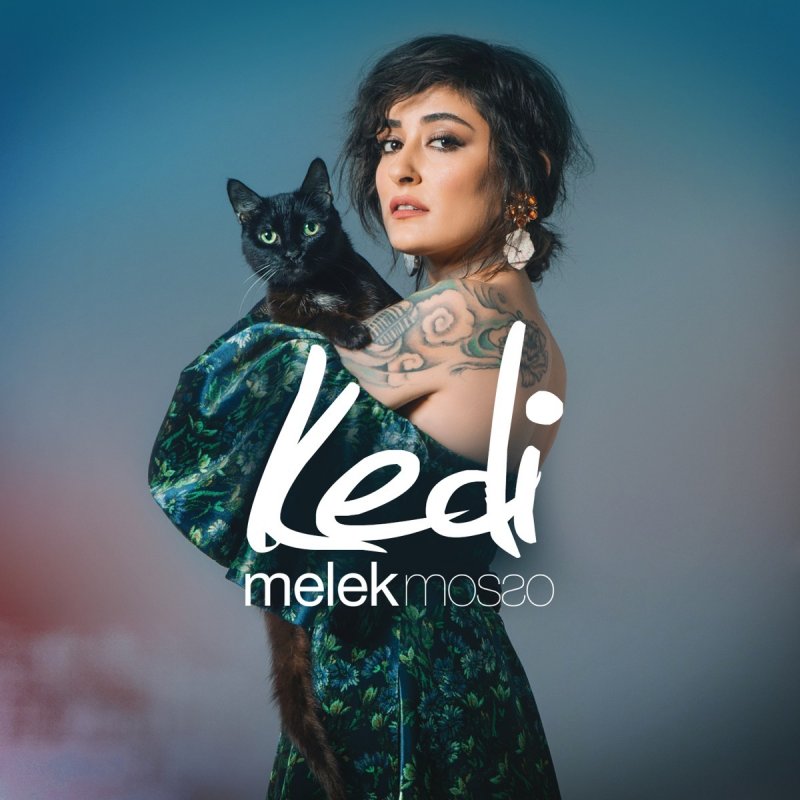 melek mosso kedi lyrics musixmatch