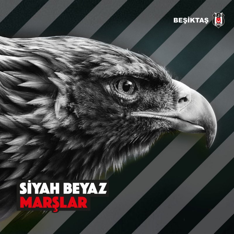 musixmatch