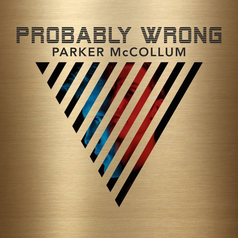 Happy New Year Lyrics Parker Mccollum Meaning