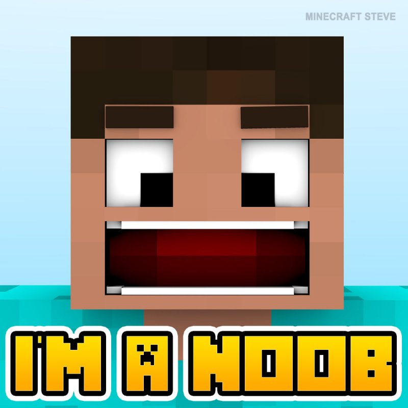 Minecraft Steve I M A Noob Lyrics Musixmatch