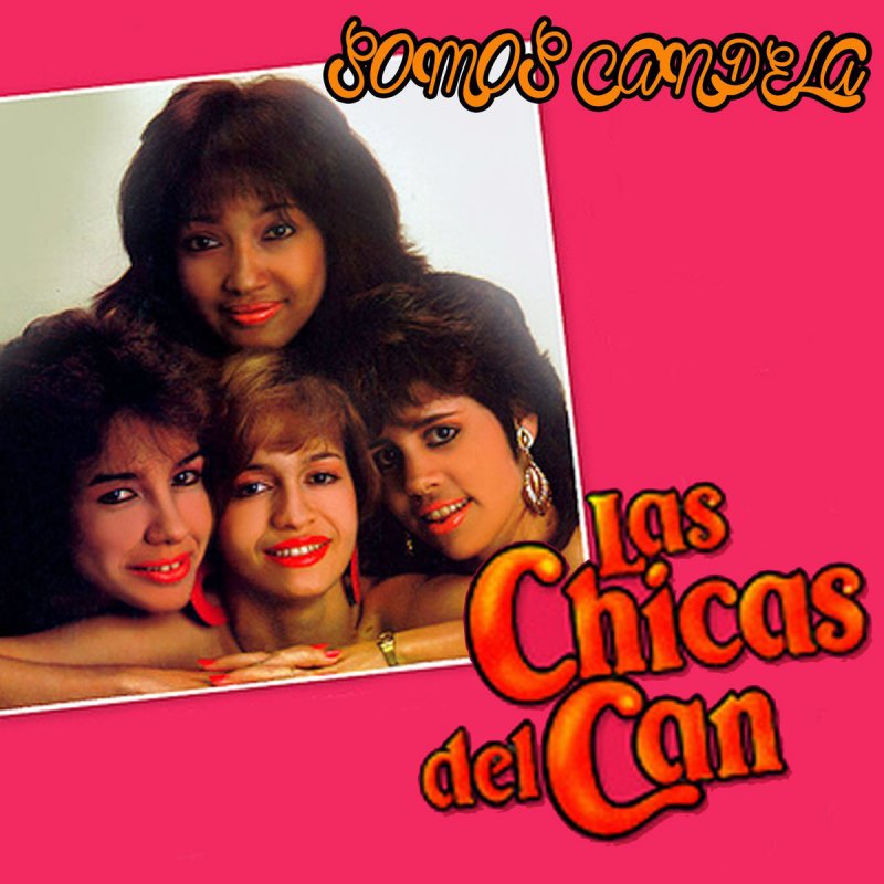 Letra de Estúpido de Las Chicas Del Can | Musixmatch