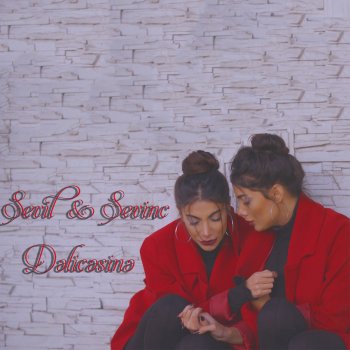 Delicesine By Sevil Sevinc Album Lyrics Musixmatch Song Lyrics