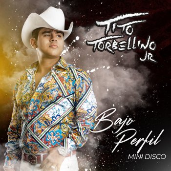 Bajo Perfi
