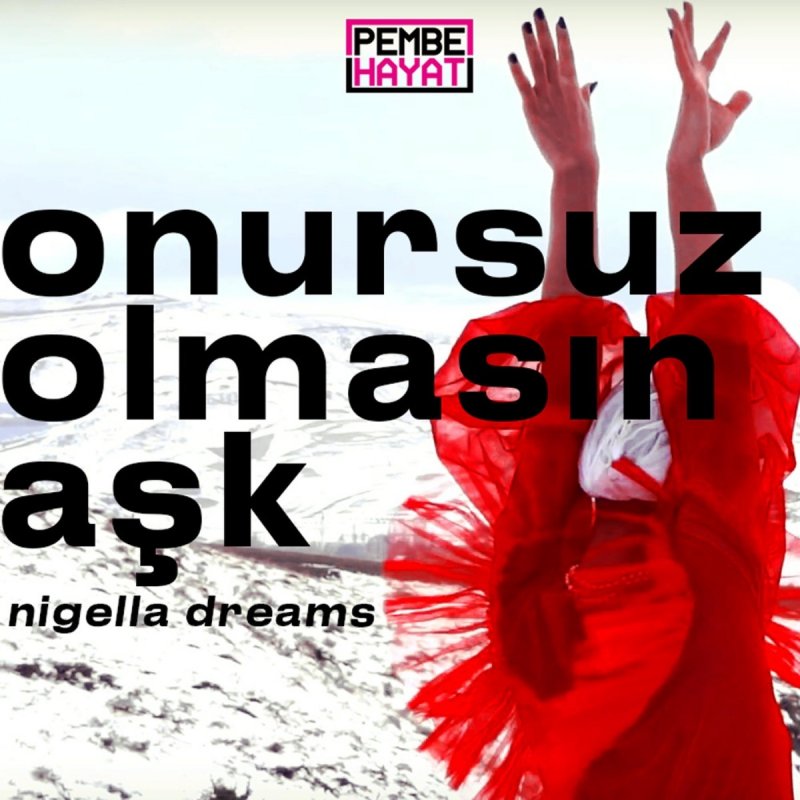 Pembe Hayat Onursuz Olmasin Ask Paroles Musixmatch