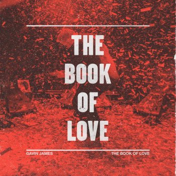 The Book of Love - Live at Whelans