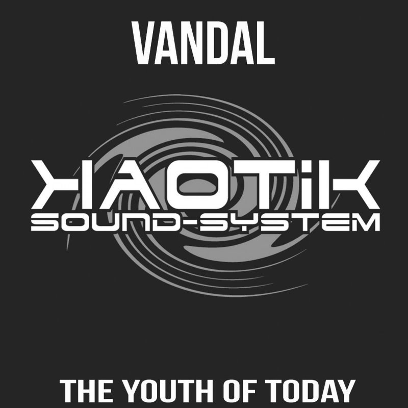Vandal The Youth Of Today Lyrics