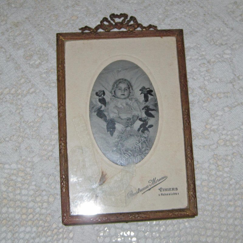 Nicole Dollanganger Flowers of Flesh and Blood Lyrics Musixmatch