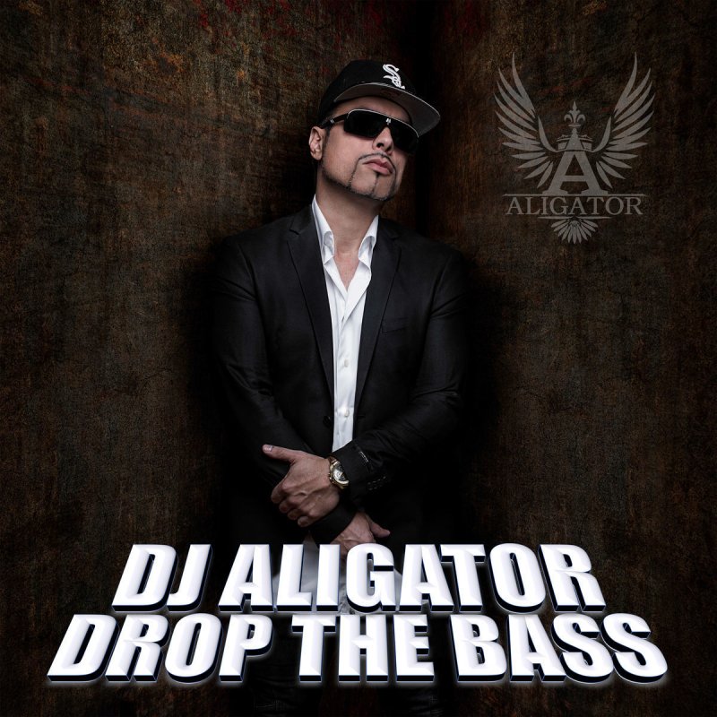 dj aligator full bass