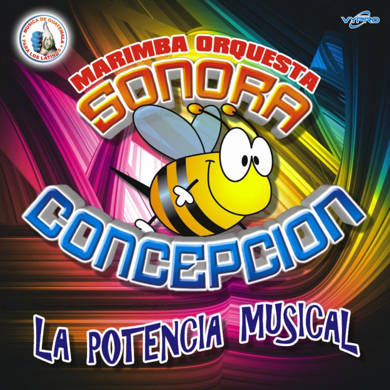 Marimba Orquesta Sonora Concepción - Sonomix Quebraditas 2014: El 